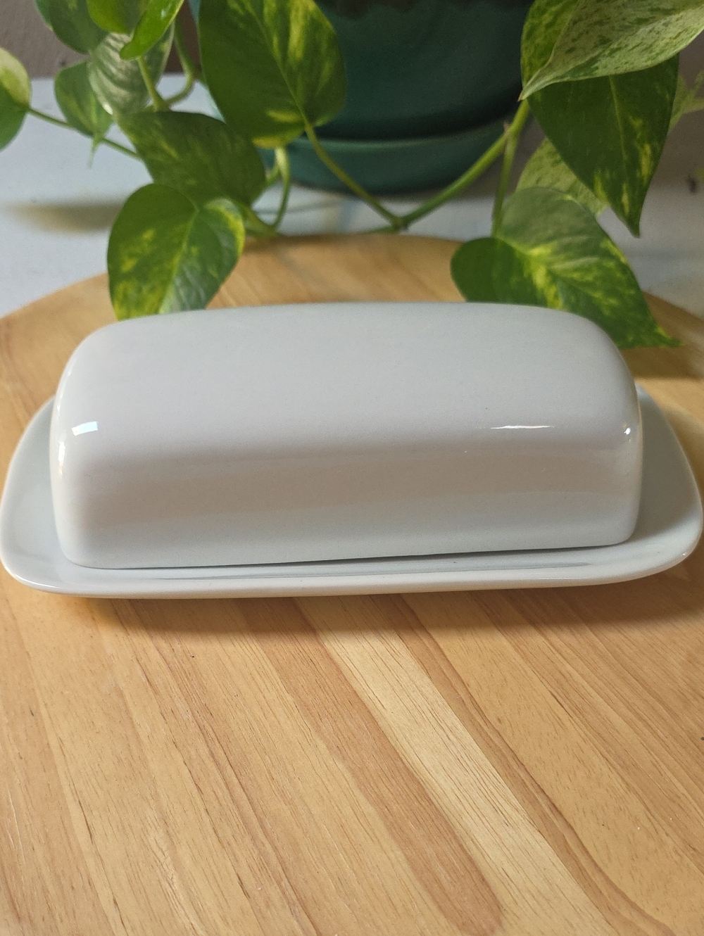 Sur La Table White Porcelain Covered Butter Dish with Lid